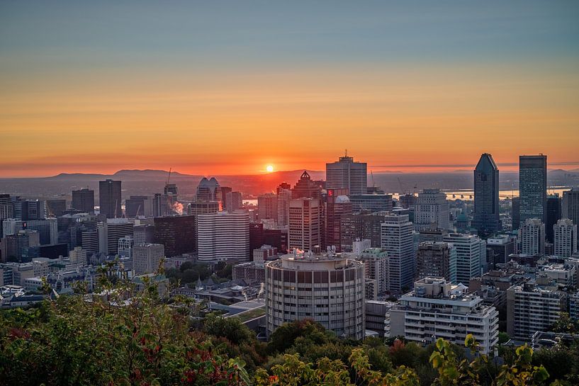 Montreal by Hello Pompoyo