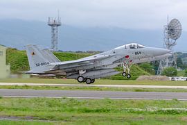 Two Japanese McDonnell Douglas F-15 Eagles. by Jaap van den Berg