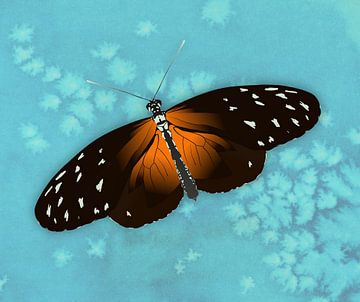 De heliconius hecale vlinder  of passievlinder