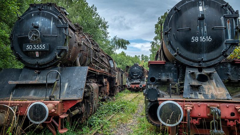 Three of a kind von Frans Nijland