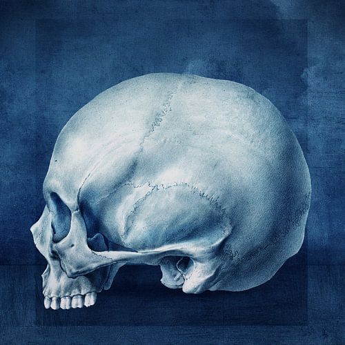 Le Crâne Bleu