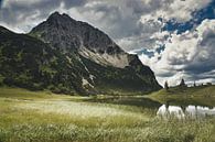 Oberstdorf, Gaisalpsee van Eric Götze Fotografie thumbnail