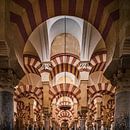 The Mezquita in Cordoba by Henk Meijer Photography thumbnail