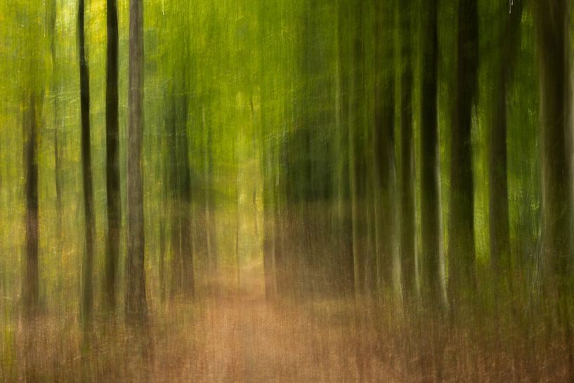 Autumn colours creative by Annet van Heijster