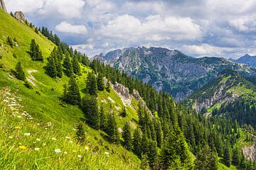 Uitzicht op de Alpen vanaf Tegelberg bij Schwangau van Rico Ködder