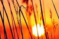 Achterhoekse zonsondergang bij de Oude IJssel van Arno Wolsink thumbnail