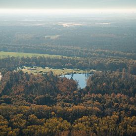 La nature brabançonne, avec les dunes de Drunense sur Roel Timmermans