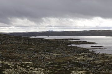 La Norvège sur Marilla van der Knoop