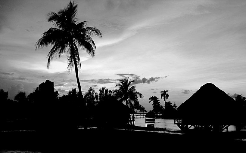 Guama, Cuba par Rik Crijns