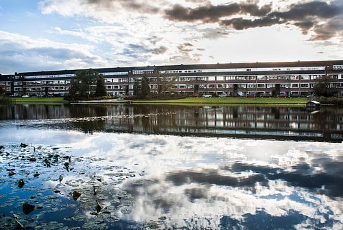 Hamburgerstraat in de lente von Groningen Stad