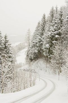 Winterlandschap von Nadia Daneels