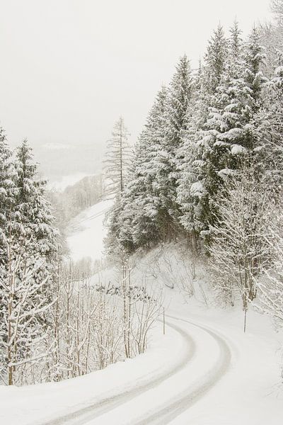 Winterlandschap van Nadia Daneels