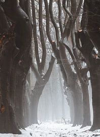 Scène d'hiver sur Marloes ten Brinke