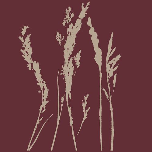 Grasbeige op wijnrood. Moderne botanische kunst.