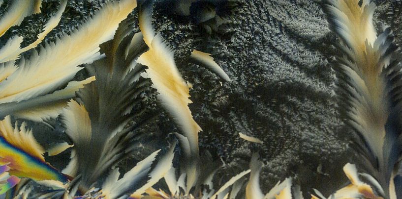 Colorful crystals by Norbert Sülzner