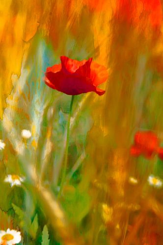 Mohn- und Kamillenkunst