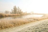 Winter sunrise along the IJssel
