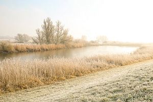 Winter sunrise along the IJssel