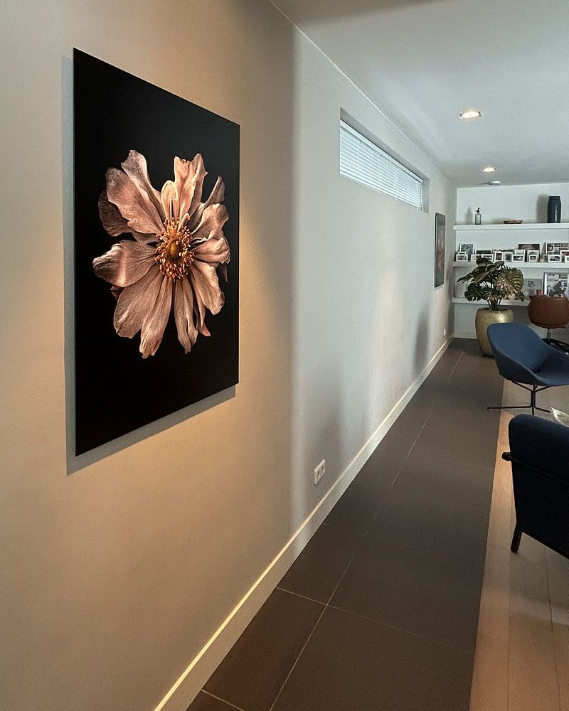 Macrofoto van lichtroze anemoon  van Adje Photography 