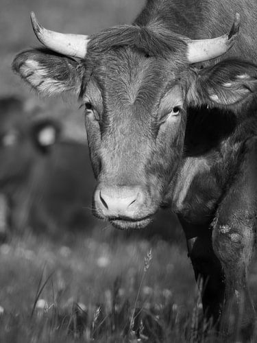 Stiller Blick