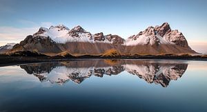 Winter Reflexion