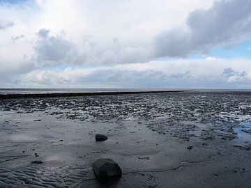 Wadden Sea at Westhoek