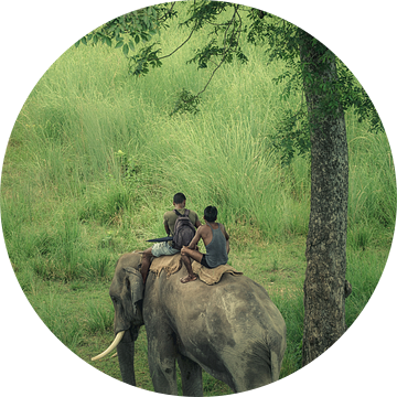 Wilde levensbeschermers in het ruwe oerwoud van Bardia