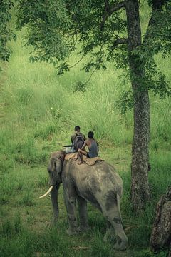 Wild life protectors in raw jungle of Bardia by Edgar Bonnet-behar