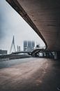 Rotterdam architecture on a misty day, Netherlands von vedar cvetanovic Miniaturansicht