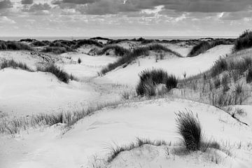 White dunes Texel van Harald Harms