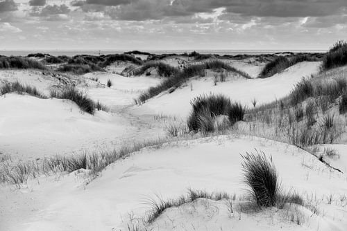 White dunes Texel