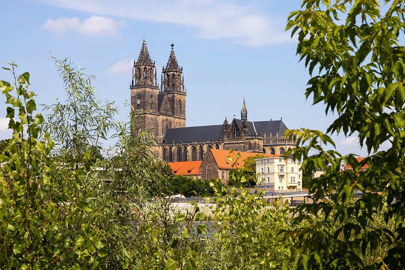 Magdeburg Cathedral by Frank Herrmann