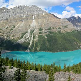 Peyto Lake Banff