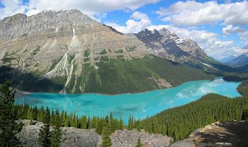 Peyto Lake Banff
