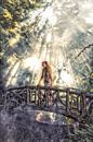 Don't Try Suiside by Bert Schaeffer thumbnail
