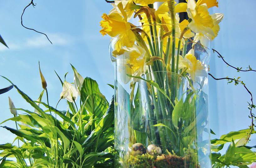 Texel Flora 002 par Starworks:  LinaLena van der Star