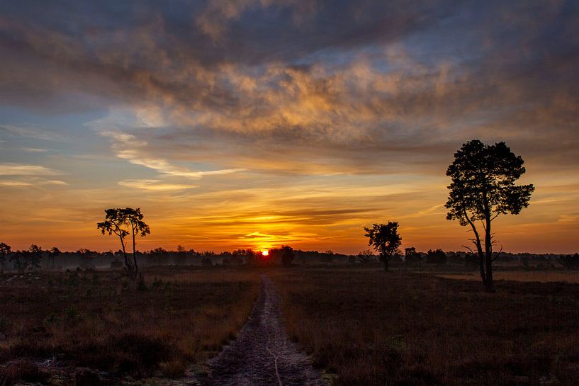 sunrise by ton vogels