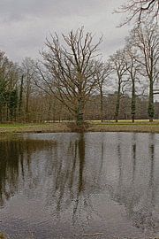 Mirror of time by Torrentius