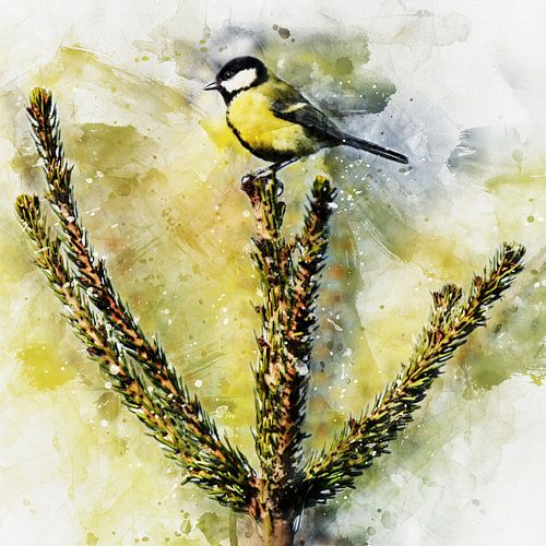 Kohlmeise auf der Spitze eines Weihnachtsbaums (Aquarell, Kunst) von Art by Jeronimo