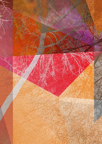  P26-B TREES AND TRIANGLES