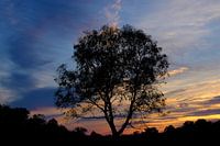 Zonsondergang