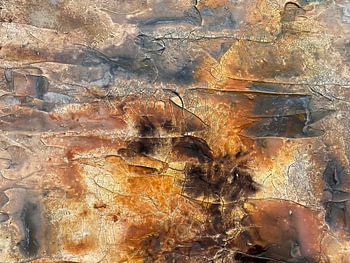 Industrial Decay Abstract