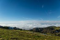 Duitsland, Boven de wolken op een berg Schauinsland in het Zwarte Woud van adventure-photos thumbnail