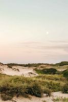 Maan in de Kennemerduinen