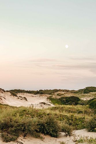 La lune dans les dunes de Kennemer