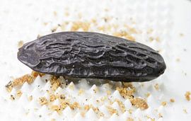 tonka bean by Time_Pictures