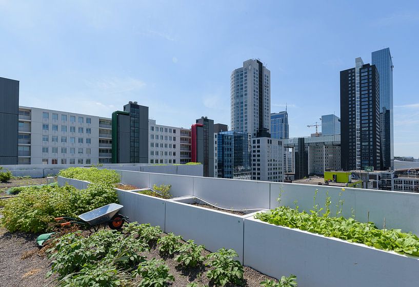 Centre Dakakker Rotterdam, Hollande méridionale, Pays-Bas par Martin Stevens