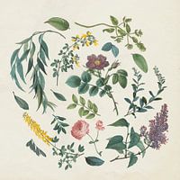 Viktorianischer Garten I., Wild Apple Portfolio