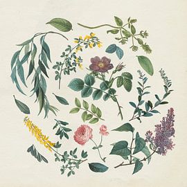 Victoriaanse tuin i, Wild Apple Portfolio van Wild Apple