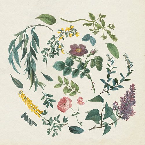 Victorian Garden I, Wild Apple Portfolio